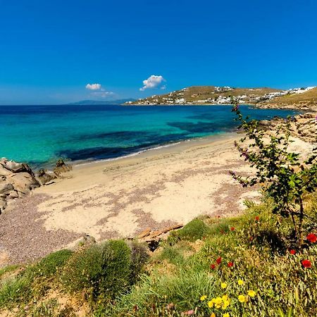 Amorous Luxury Villa Agios Ioannis Diakoftis Eksteriør billede