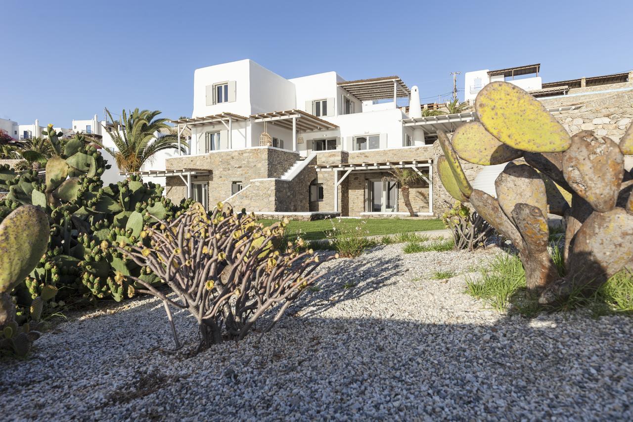 Amorous Luxury Villa Agios Ioannis Diakoftis Eksteriør billede